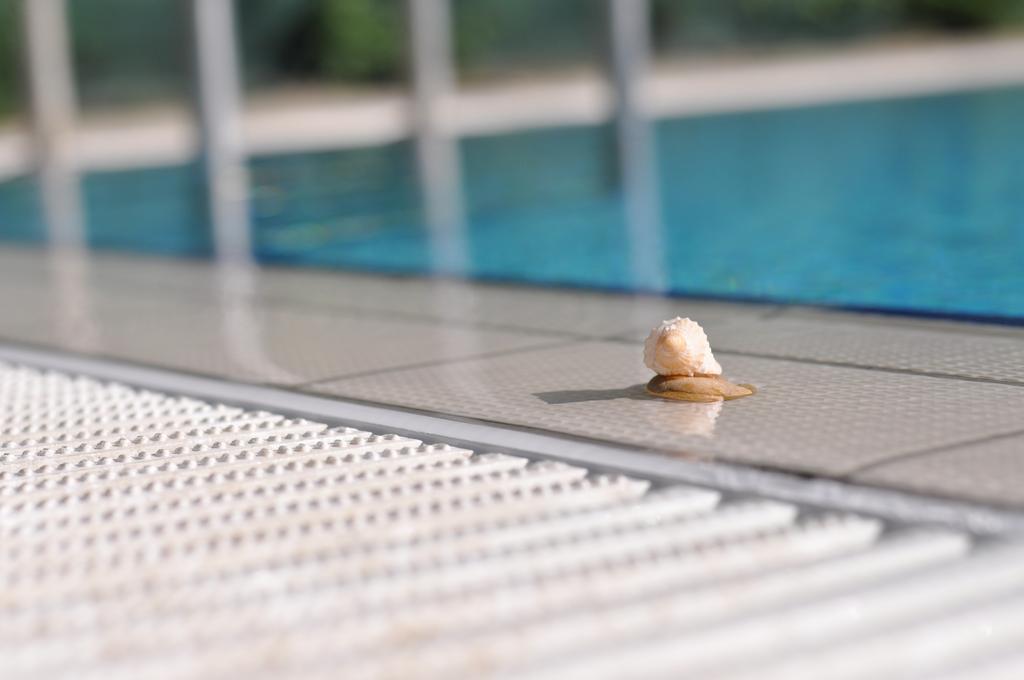 Aqua Wellness Apartments Hajdúszoboszló Habitación foto